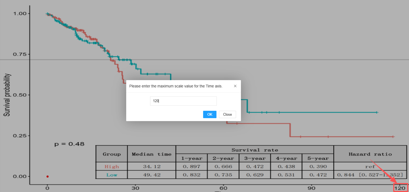 image-20250115171815078